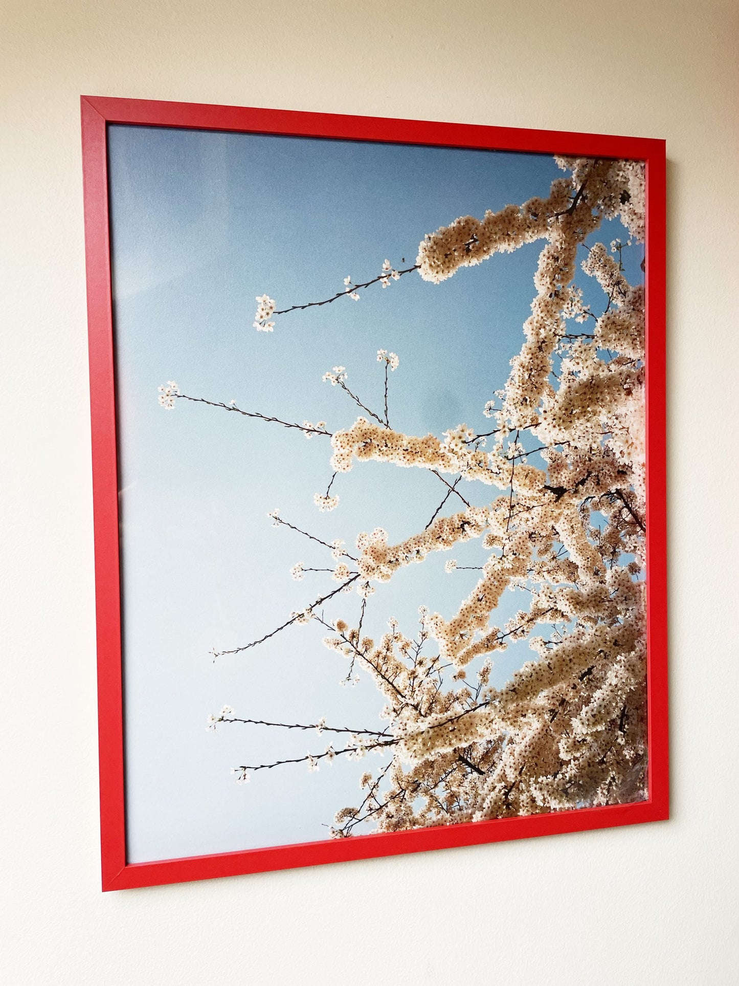Foxtrot Lightning Solstice Sakura Prints image 6