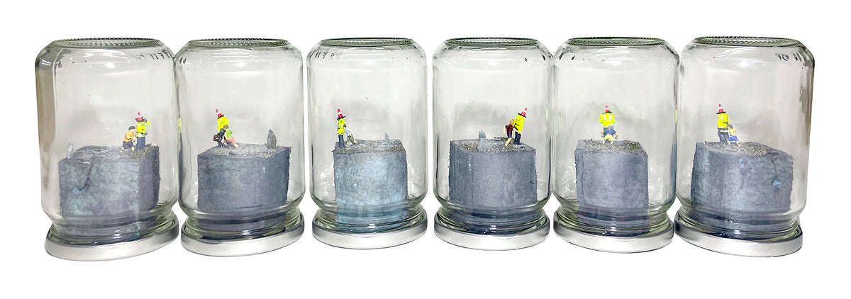 A RIOT IN A JAM JAR 15th Anniversary EDITION: Can Pigs Fly?