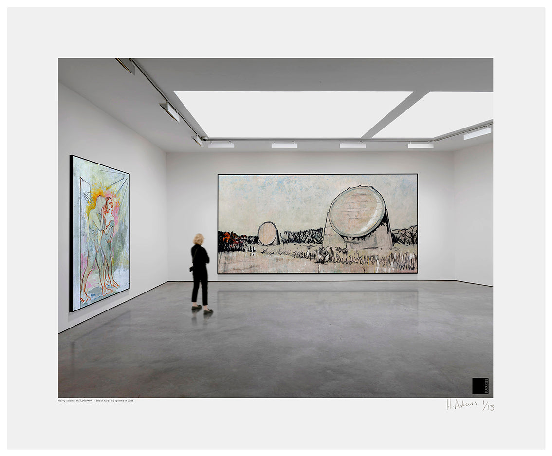 Harry Adams @67,000 MPH Installation Prints image 13