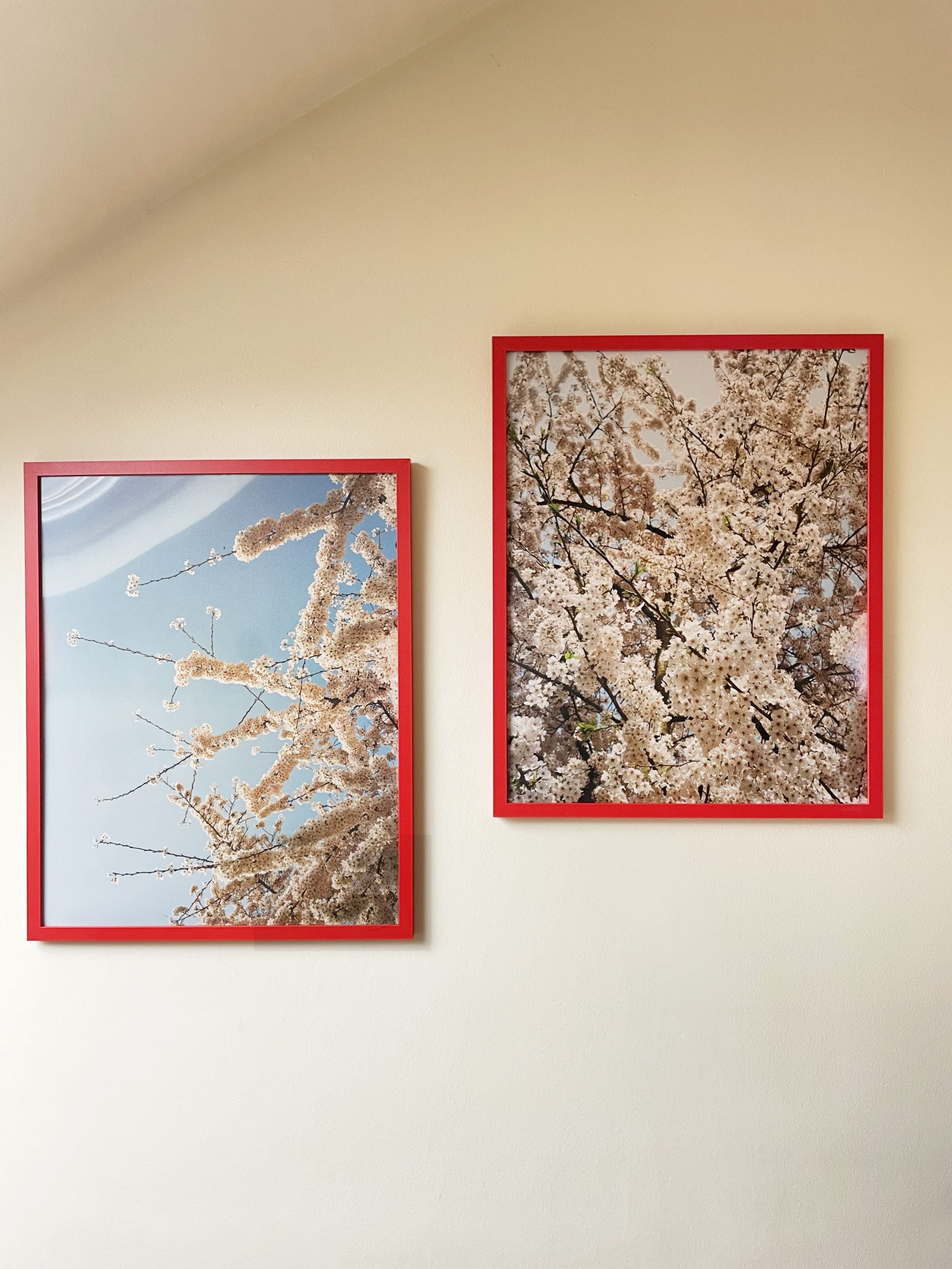 Foxtrot Lightning Solstice Sakura Prints image 4