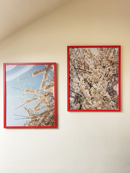 Foxtrot Lightning Solstice Sakura Prints image 4