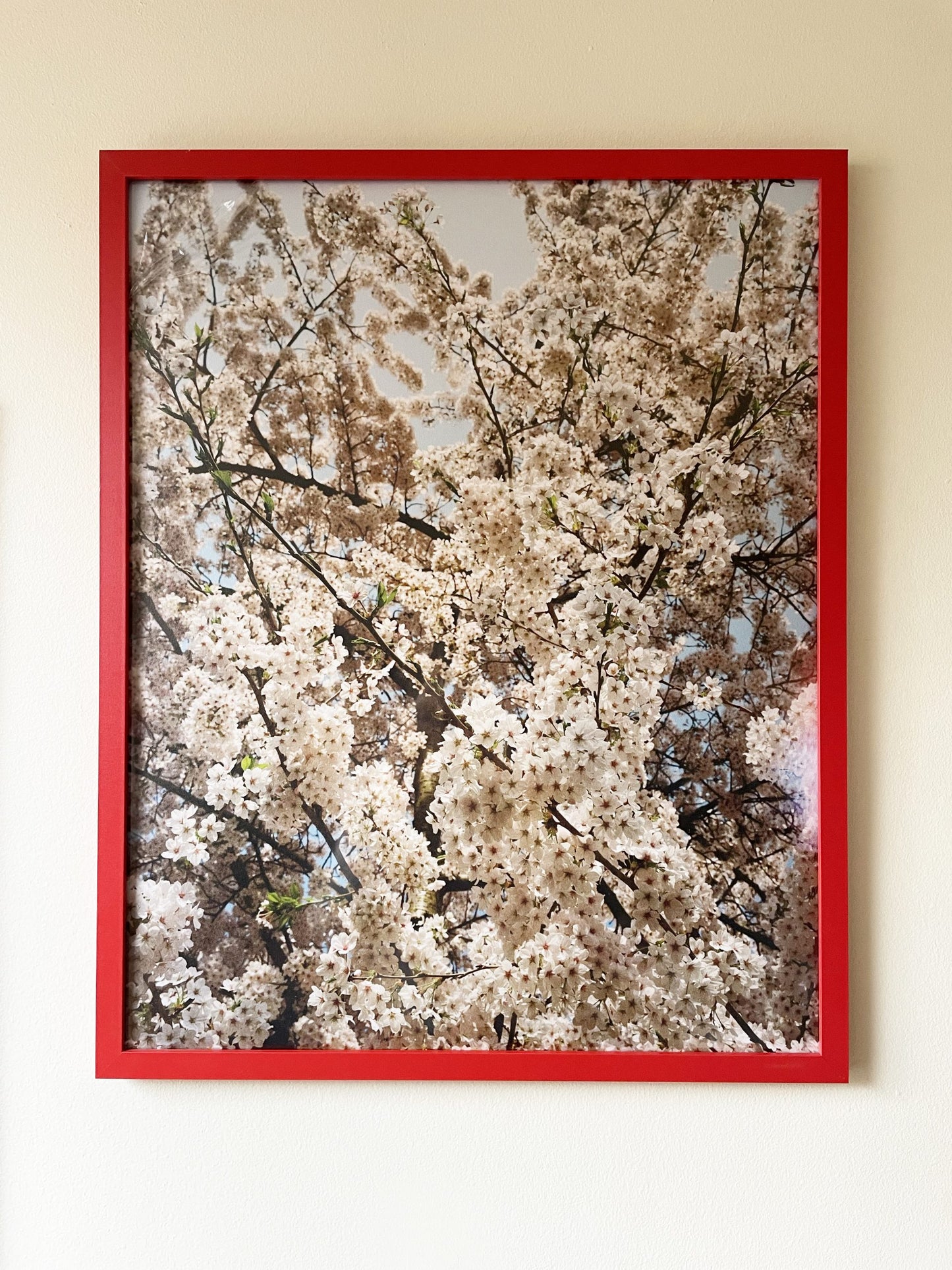 Foxtrot Lightning Solstice Sakura Prints image 5