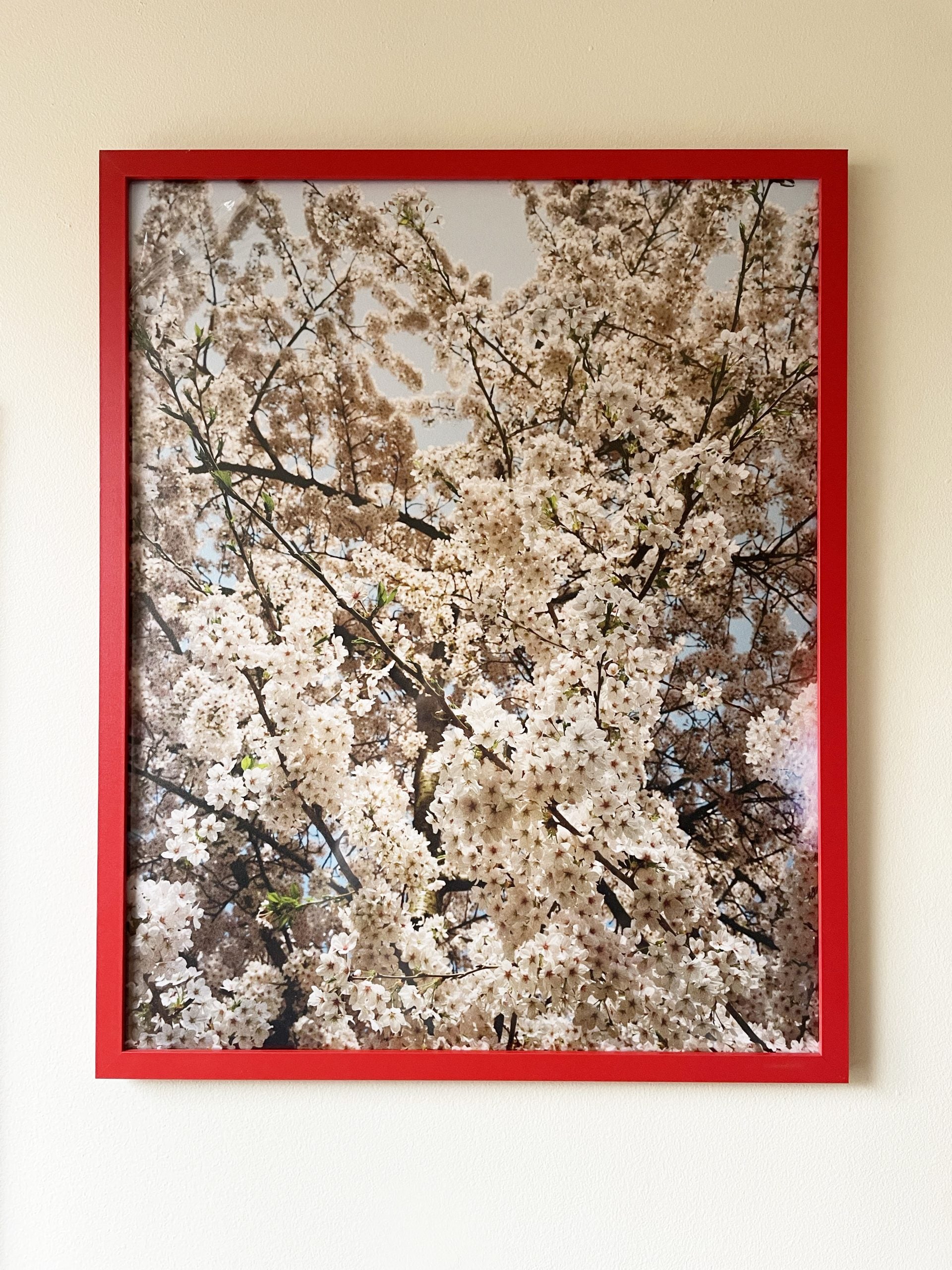 Foxtrot Lightning Solstice Sakura Prints image 5