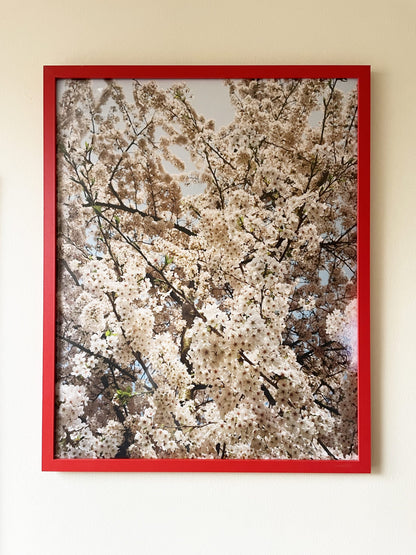 Foxtrot Lightning Solstice Sakura Prints image 5