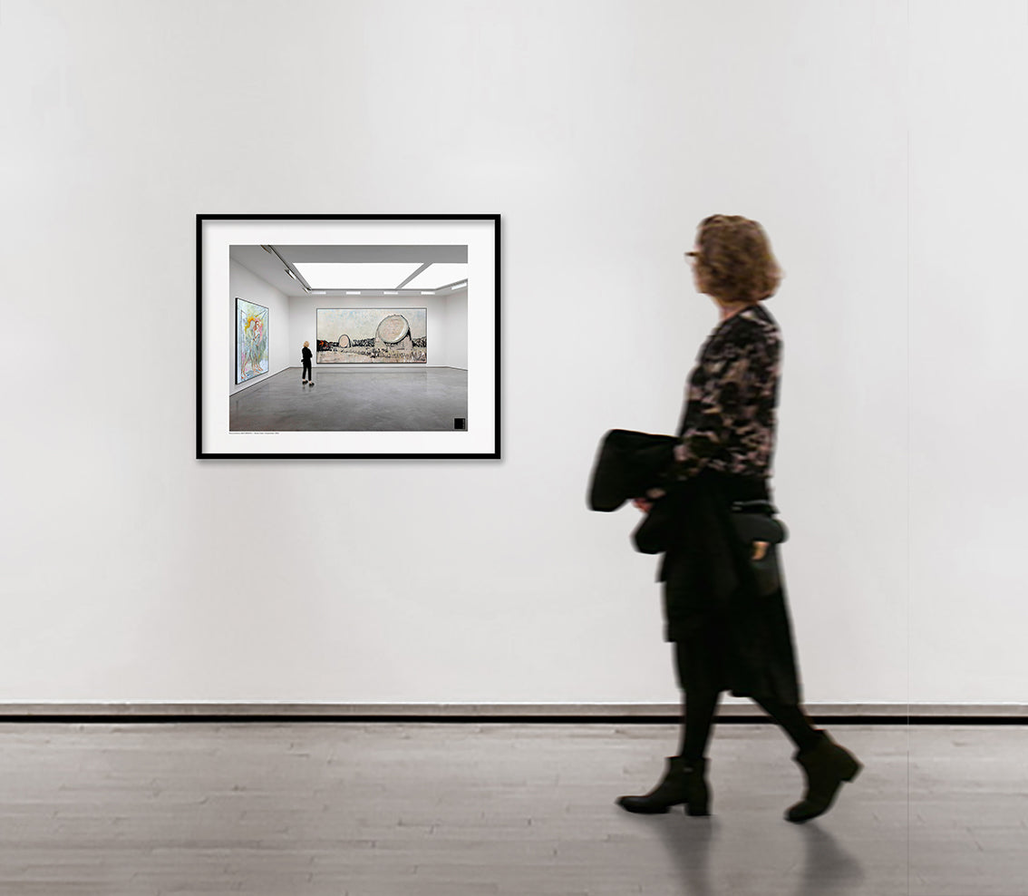 Harry Adams @67,000 MPH Installation Prints image 7