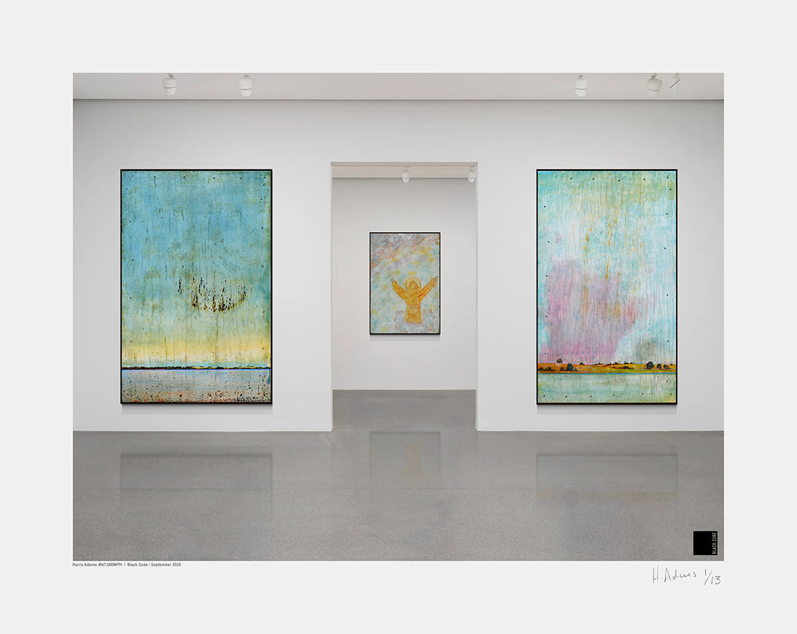 Harry Adams @67,000 MPH Installation Prints image 0