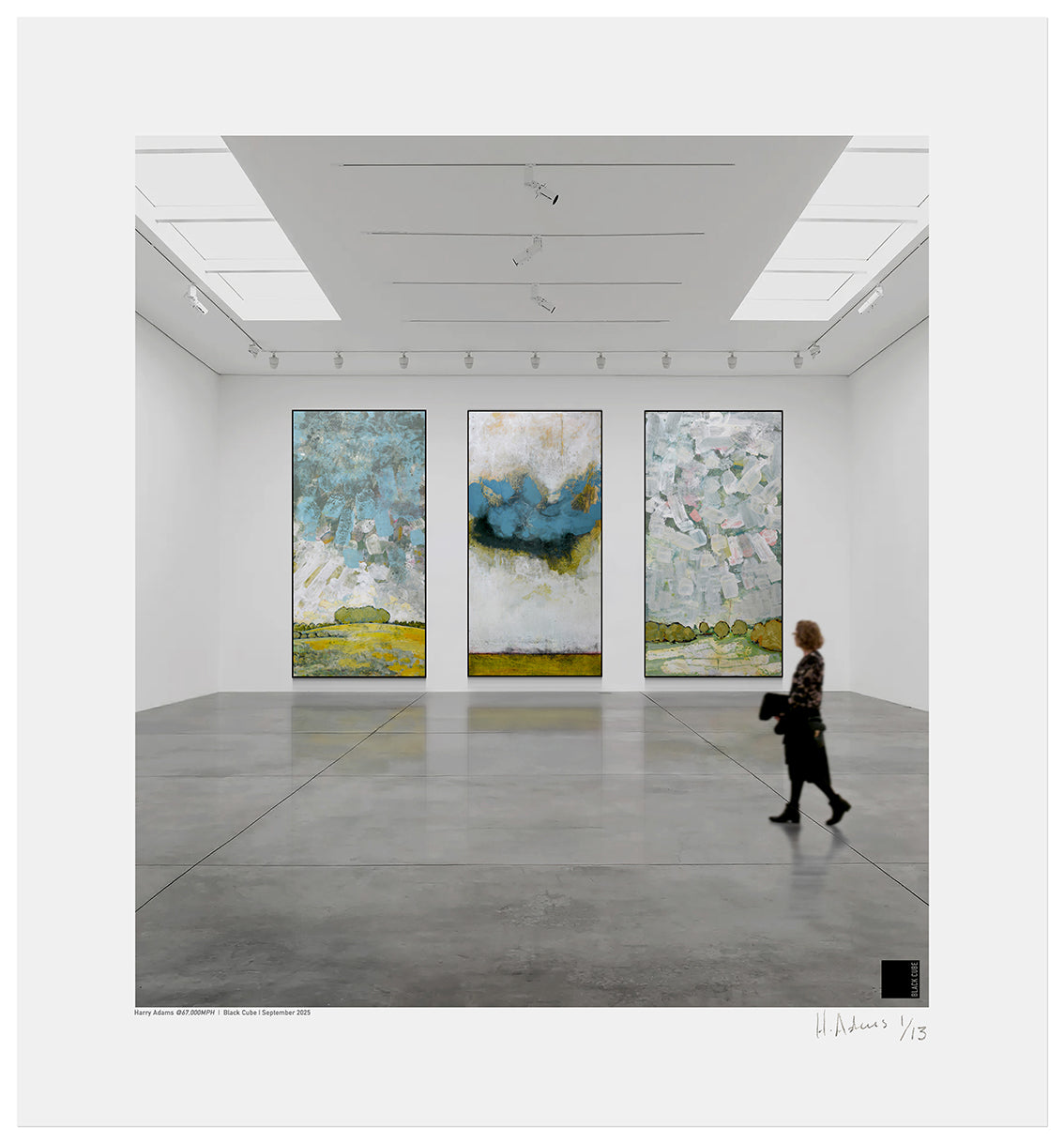 Harry Adams @67,000 MPH Installation Prints image 9