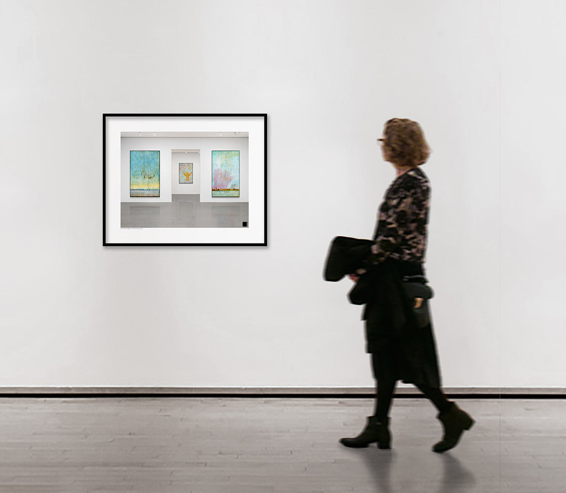 Harry Adams @67,000 MPH Installation Prints image 2
