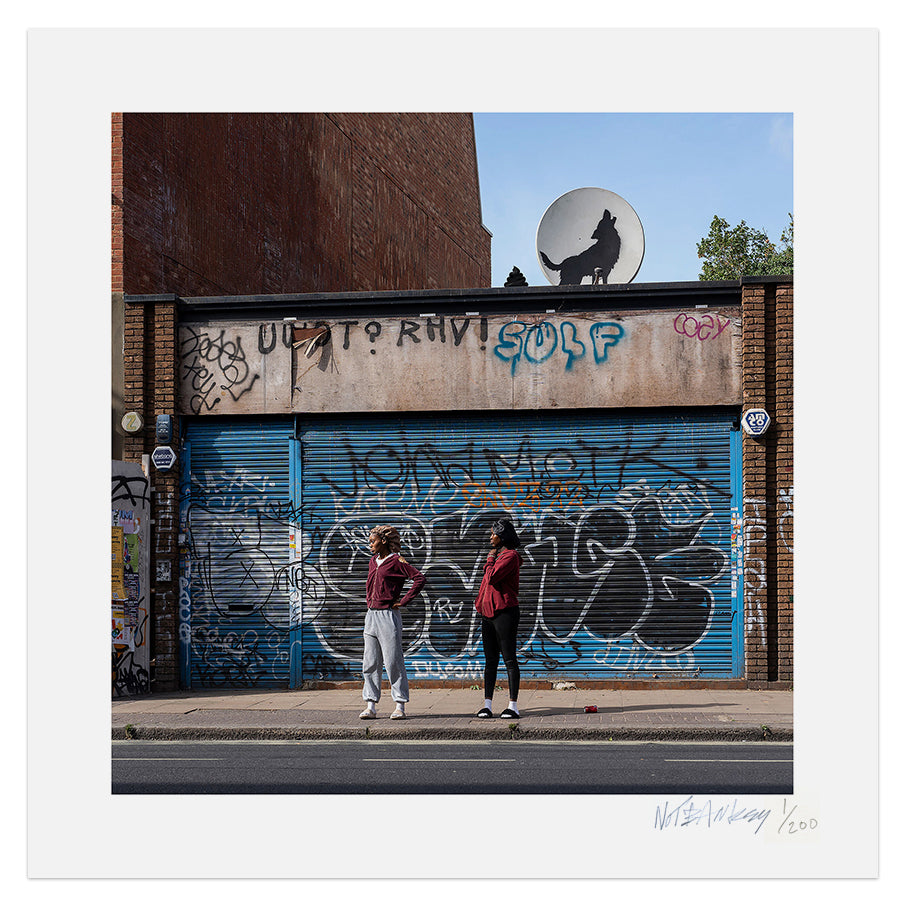 NOT BANKSY Shitism In Context Prints & Pamphlet - Wolf Excrement image