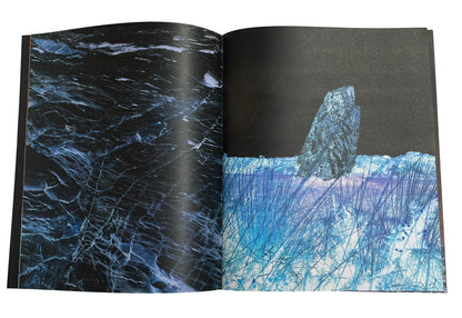 Mega//Mono//Lith Zine & Prints
