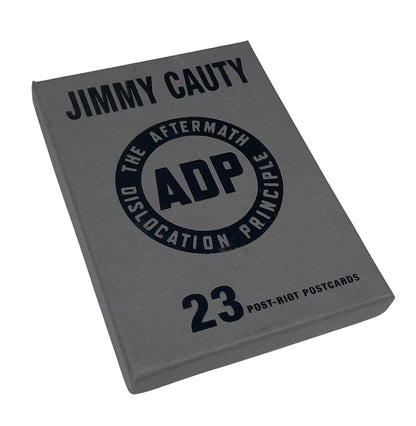 ADP RIOT TOUR 10th Anniversary SELECTED RARITIES