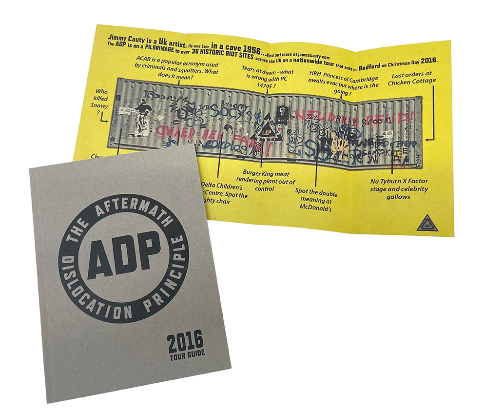 ADP RIOT TOUR 10th Anniversary SELECTED RARITIES