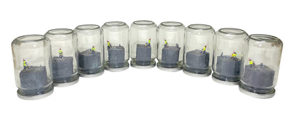 A RIOT IN A JAM JAR 15th Anniversary EDITION: Can Pigs Fly?