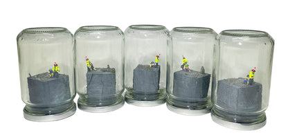 A RIOT IN A JAM JAR 15th Anniversary EDITION: Can Pigs Fly?