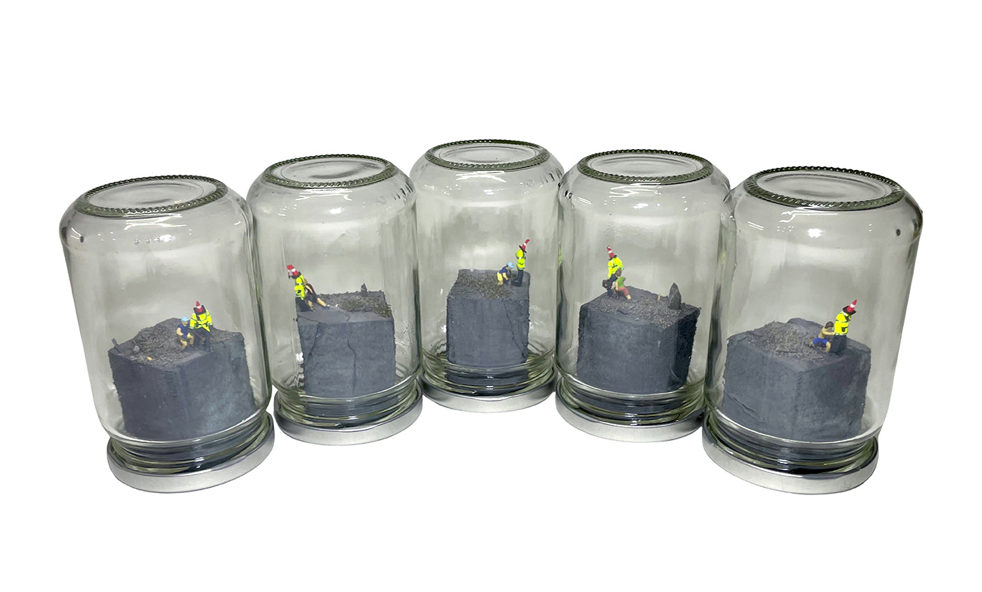 A RIOT IN A JAM JAR 15th Anniversary EDITION: Can Pigs Fly?