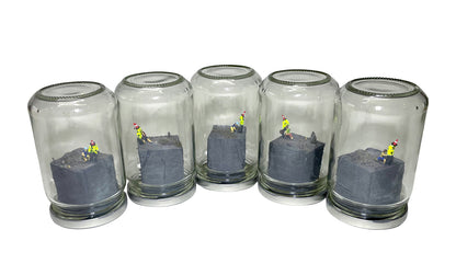 A RIOT IN A JAM JAR 15th Anniversary EDITION: Can Pigs Fly?