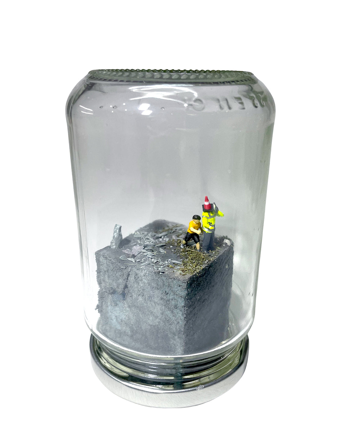 A RIOT IN A JAM JAR 15th Anniversary EDITION: Can Pigs Fly?