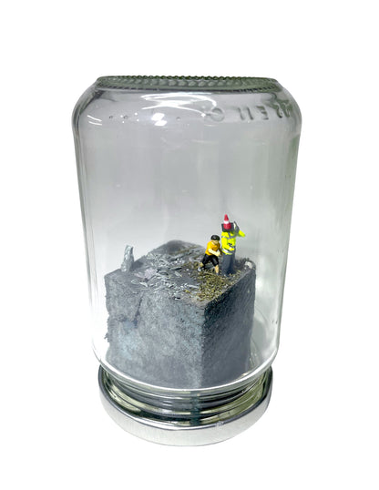 A RIOT IN A JAM JAR 15th Anniversary EDITION: Can Pigs Fly?
