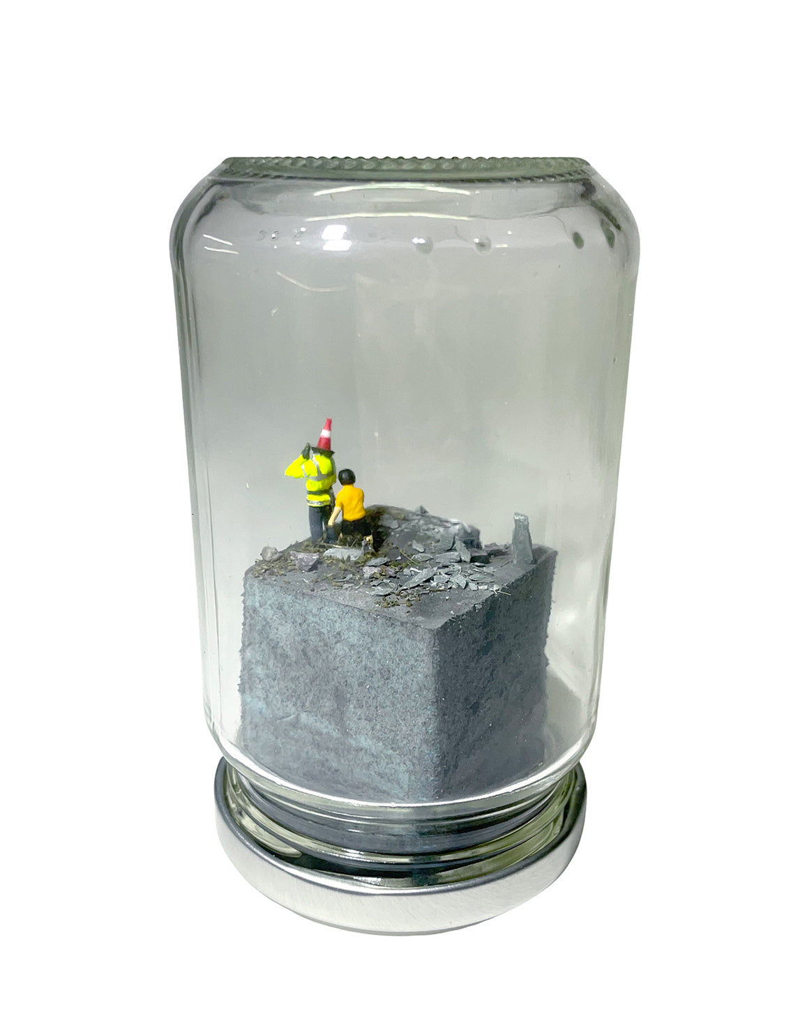 A RIOT IN A JAM JAR 15th Anniversary EDITION: Can Pigs Fly?