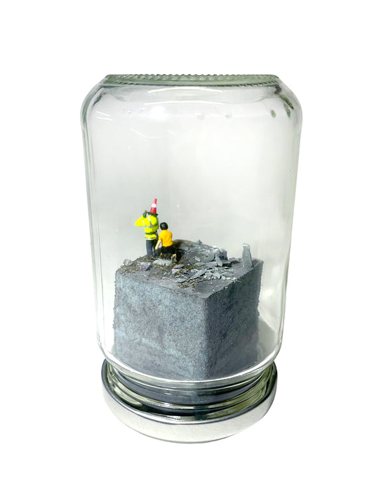 A RIOT IN A JAM JAR 15th Anniversary EDITION: Can Pigs Fly?