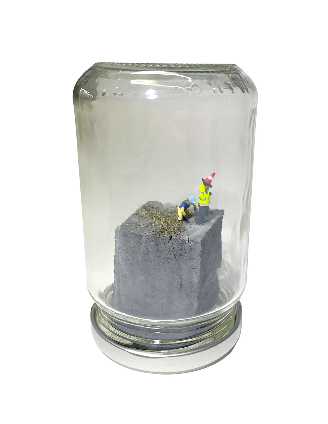 A RIOT IN A JAM JAR 15th Anniversary EDITION: Can Pigs Fly?
