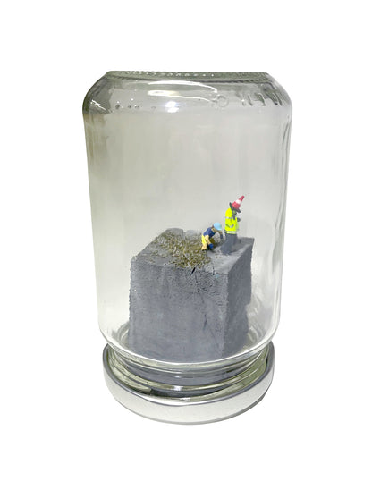 A RIOT IN A JAM JAR 15th Anniversary EDITION: Can Pigs Fly?