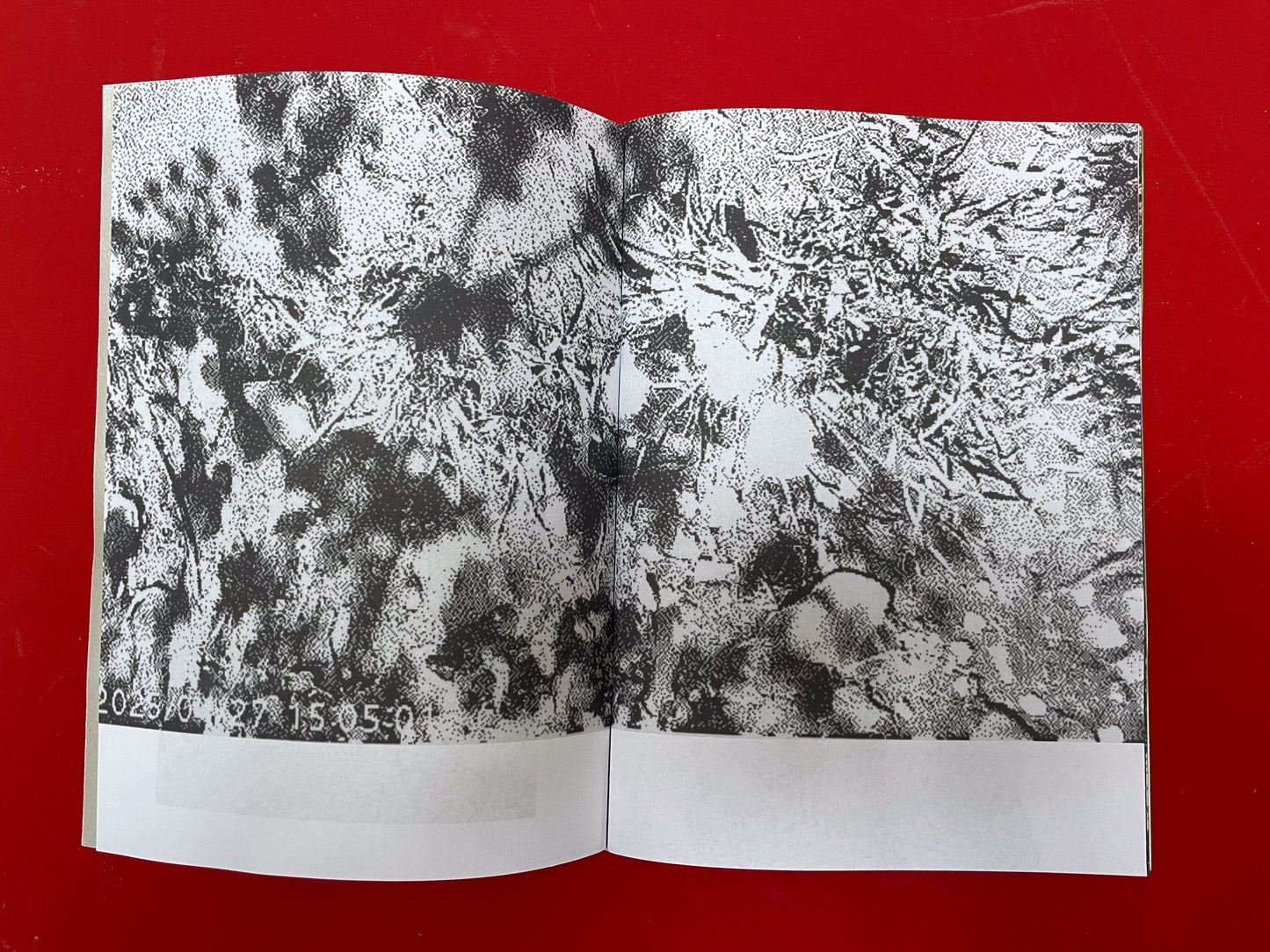 Serpent Springs Zine