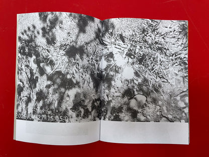 Serpent Springs Zine