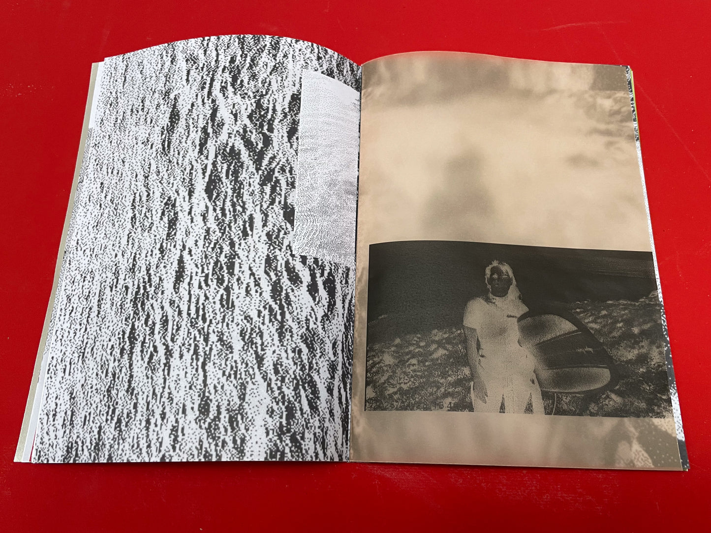 Serpent Springs Zine