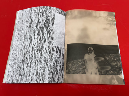 Serpent Springs Zine