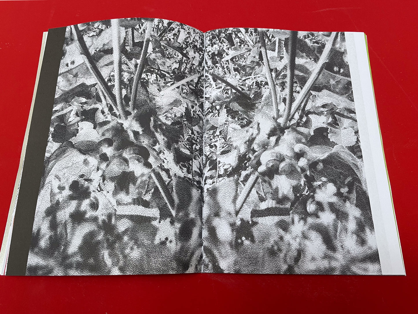 Serpent Springs Zine