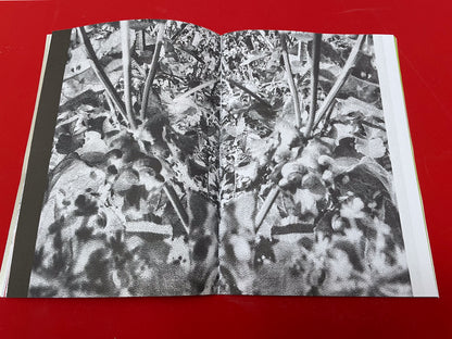 Serpent Springs Zine