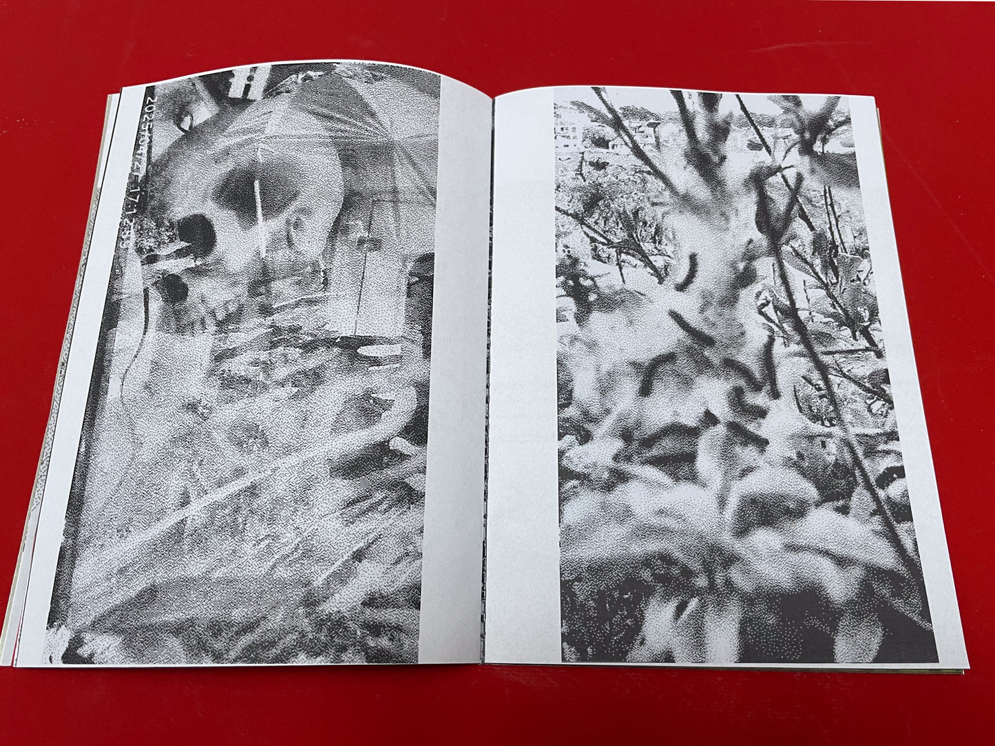 Serpent Springs Zine