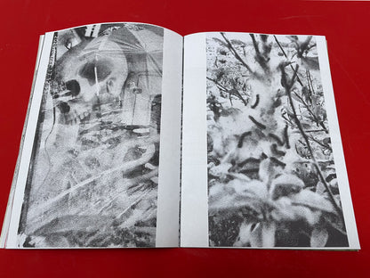 Serpent Springs Zine