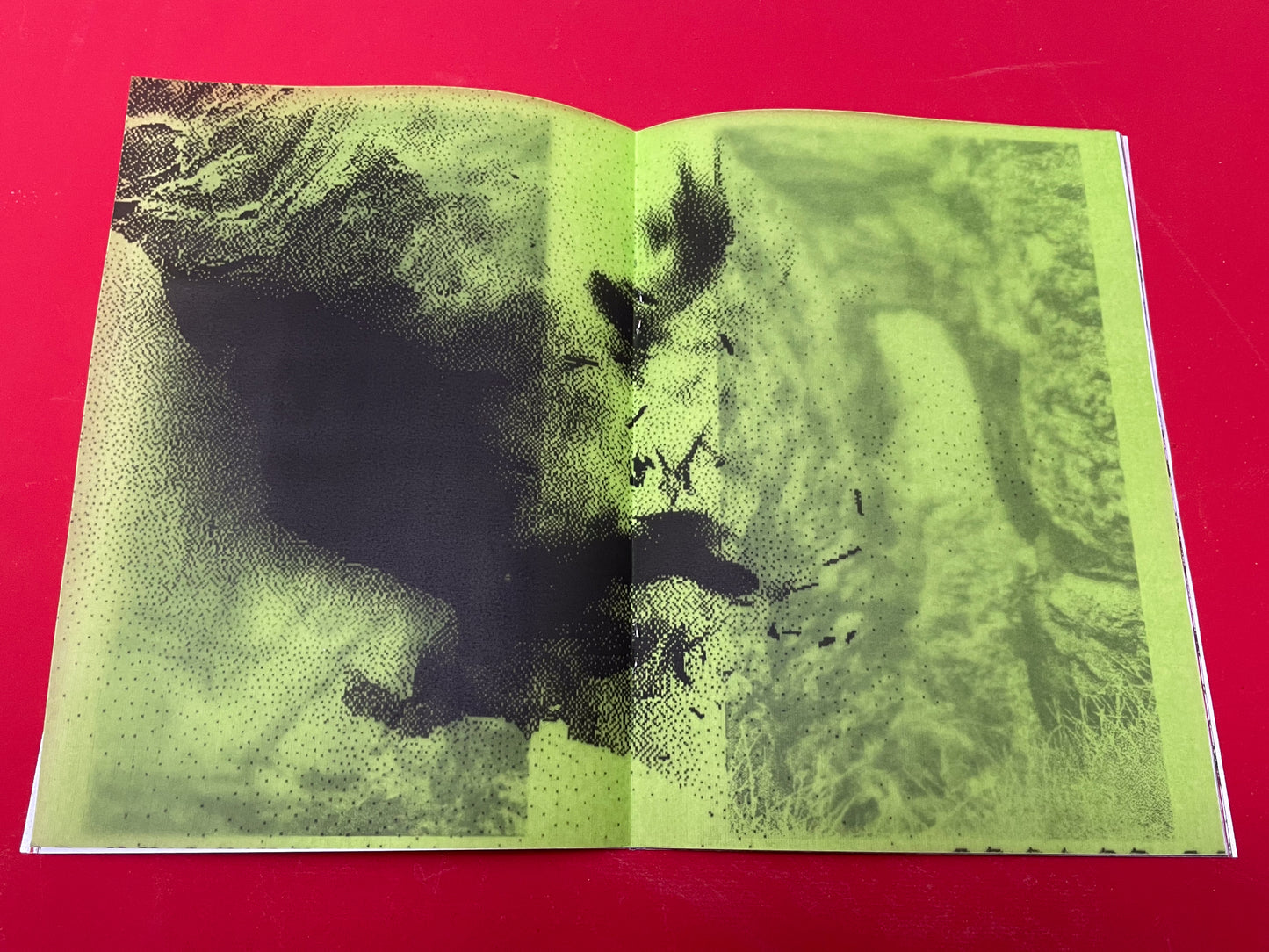 Serpent Springs Zine