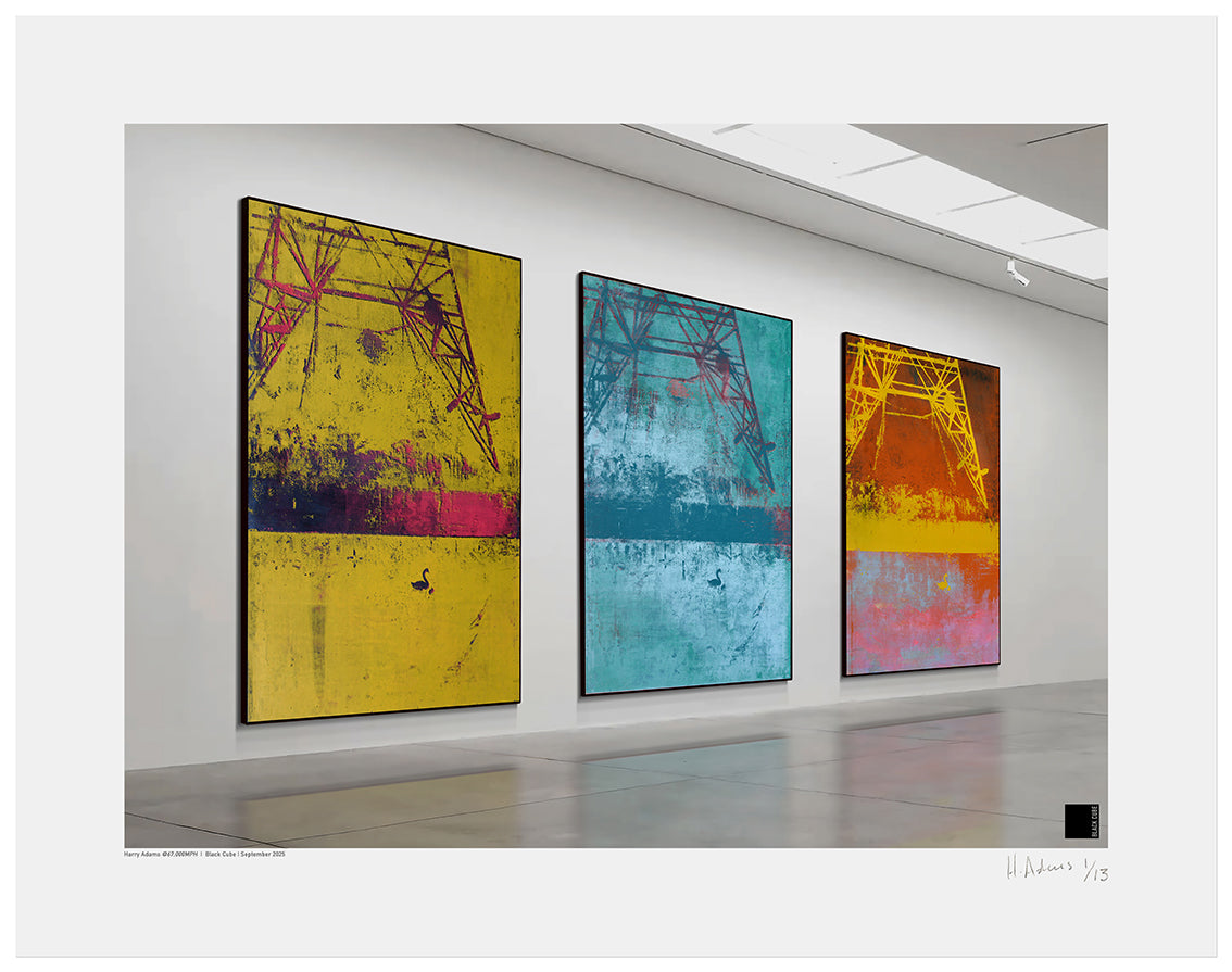 Harry Adams @67,000 MPH Installation Prints image 10