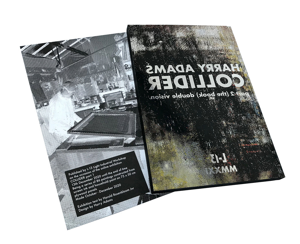 Harry Adams COLLIDER part 2 (the book) double vision SIGNED or UNADULTERATED Editions image 2