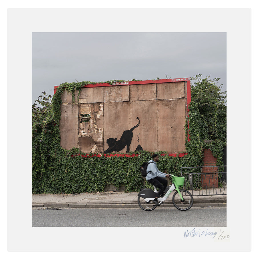 NOT BANKSY Shitism In Context Prints & Pamphlet image 9
