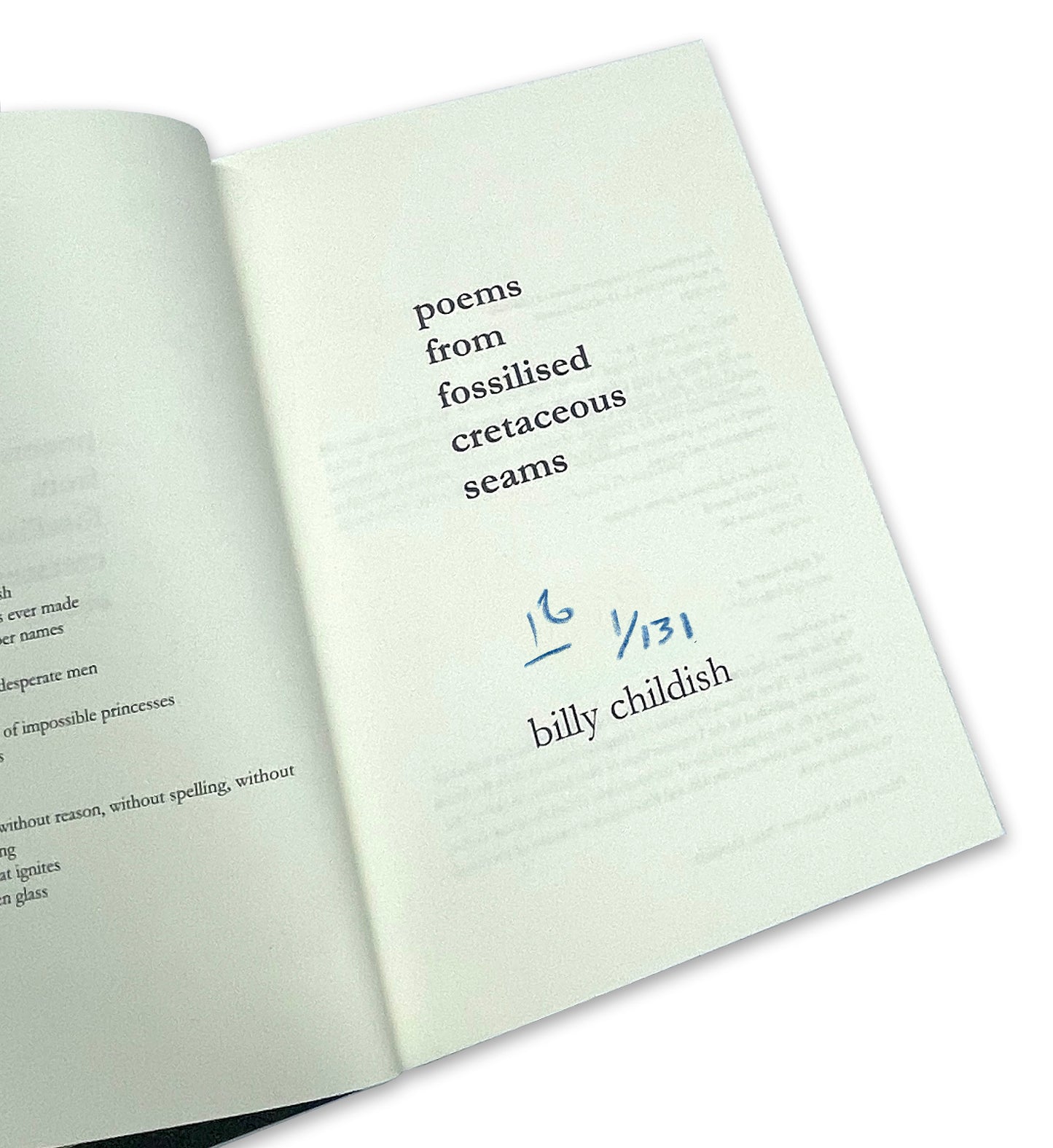 Billy Childish - Poems from Fossilised Cretaceous Seams image 3