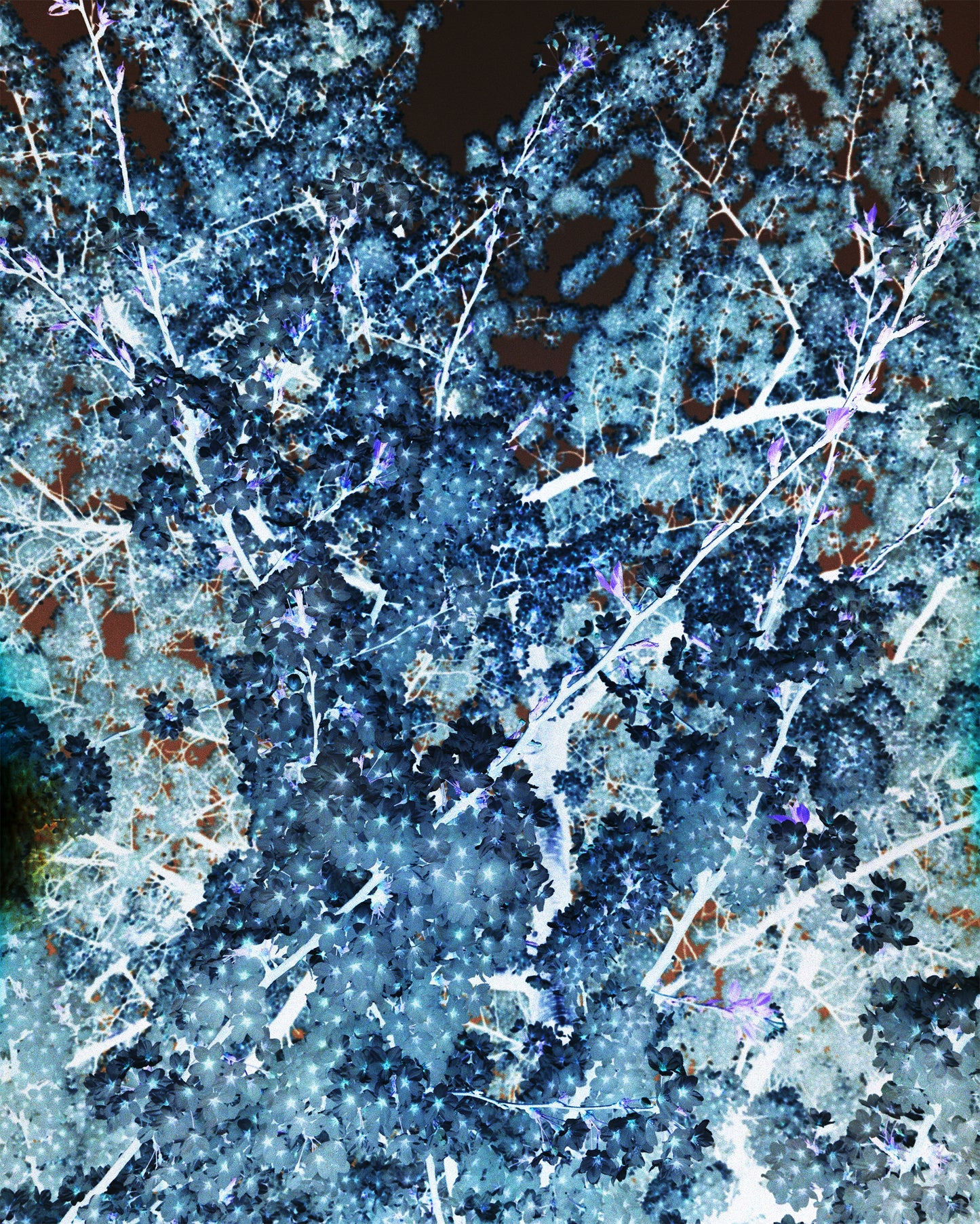 Foxtrot Lightning Solstice Sakura Prints image 2