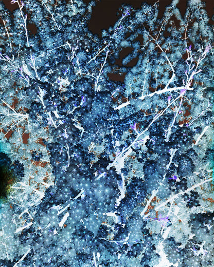 Foxtrot Lightning Solstice Sakura Prints image 2