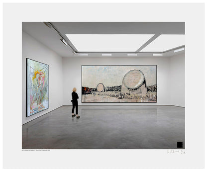 Harry Adams @67,000 MPH Installation Prints image 13
