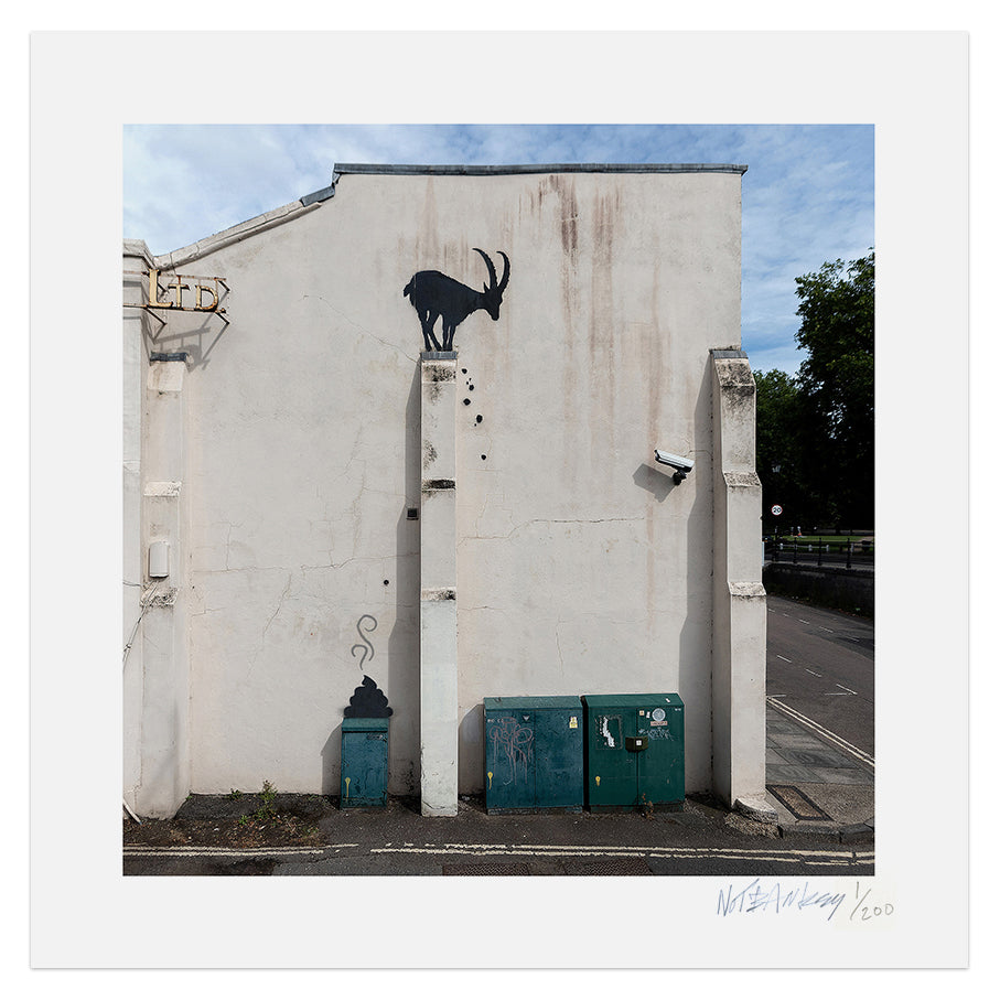 NOT BANKSY Shitism In Context Prints & Pamphlet - Ibex Droppings image