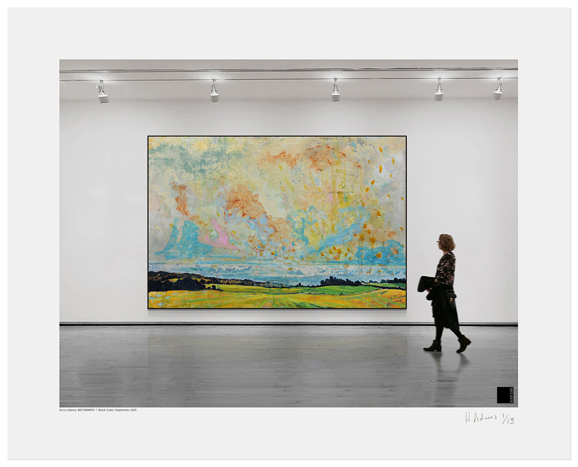 Harry Adams @67,000 MPH Installation Prints image 11