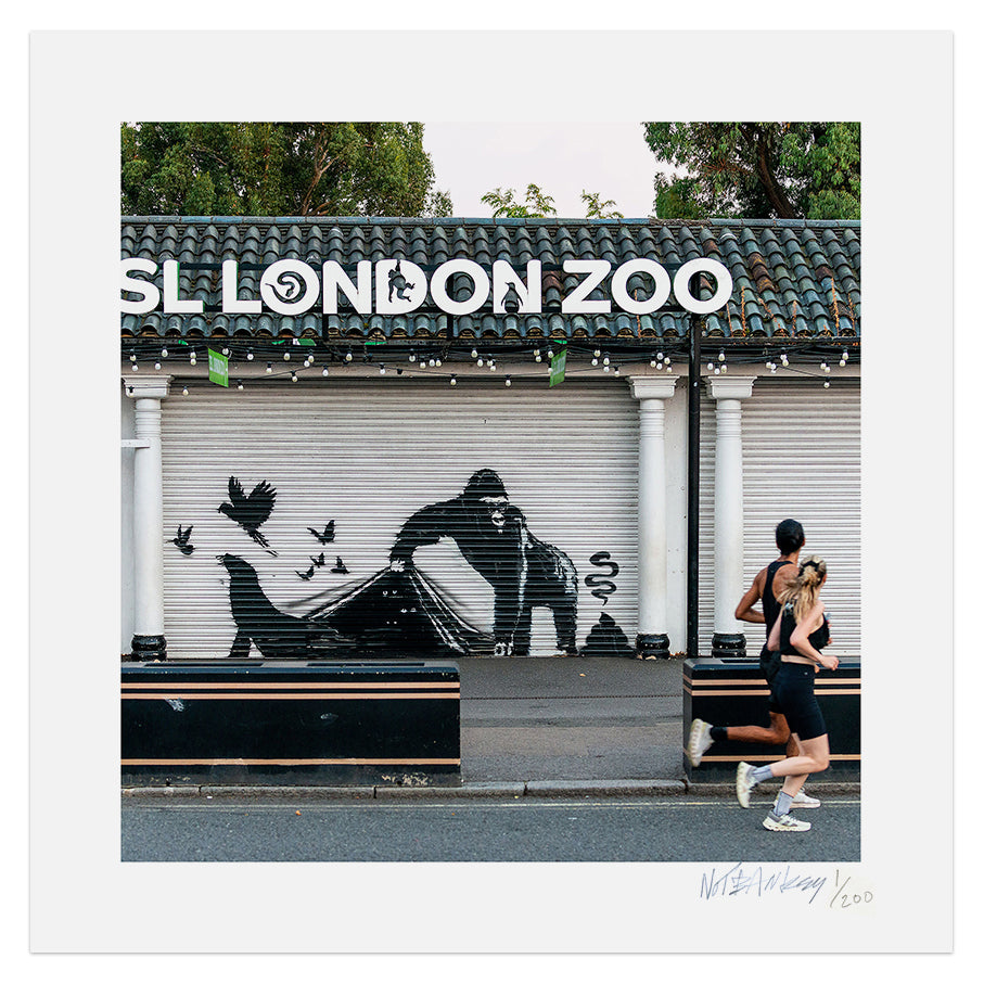 NOT BANKSY Shitism In Context Prints & Pamphlet - Gorilla Stool image