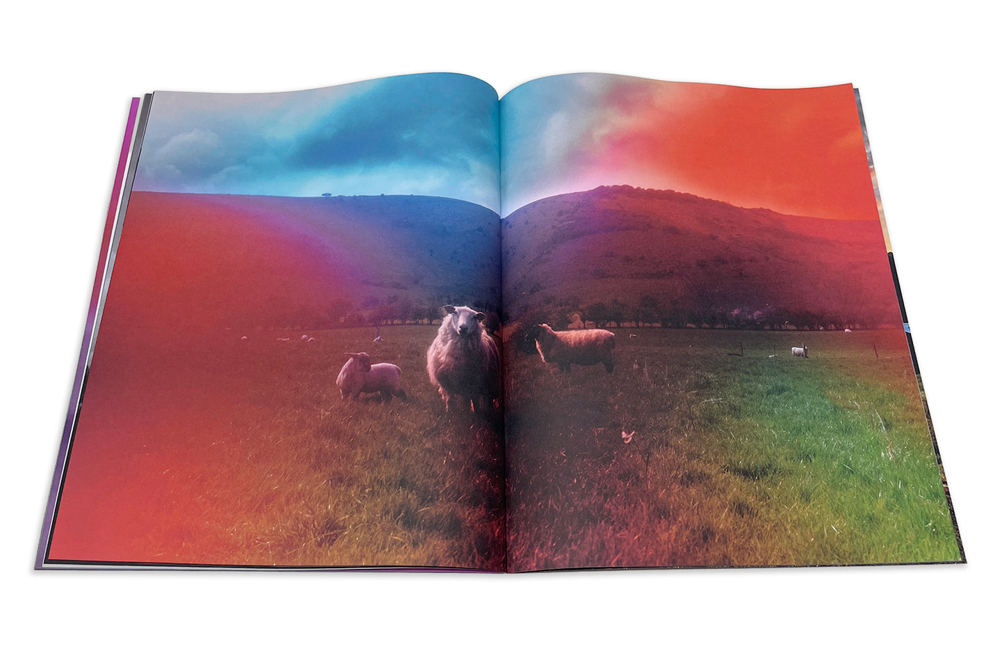 The Gurdy Stone Zine 2nd Edition