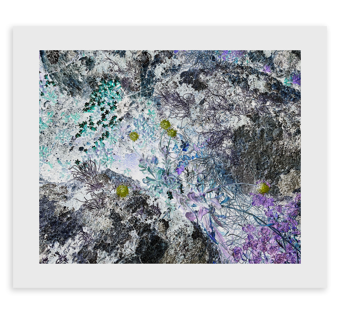 Mega//Mono//Lith Zine & Prints