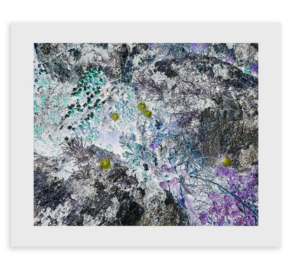Mega//Mono//Lith Zine & Prints