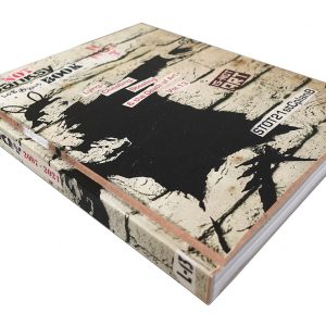 THE NOT BANKSY BOOK: Lying, Cheating, Stealing and the Death of Art Vol 13
