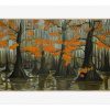 BillyChildish-cypress swamp, fall 2022 -183×305 8451
